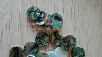 鮑魚(yú)貝樂(lè)器配件 貝殼工藝品